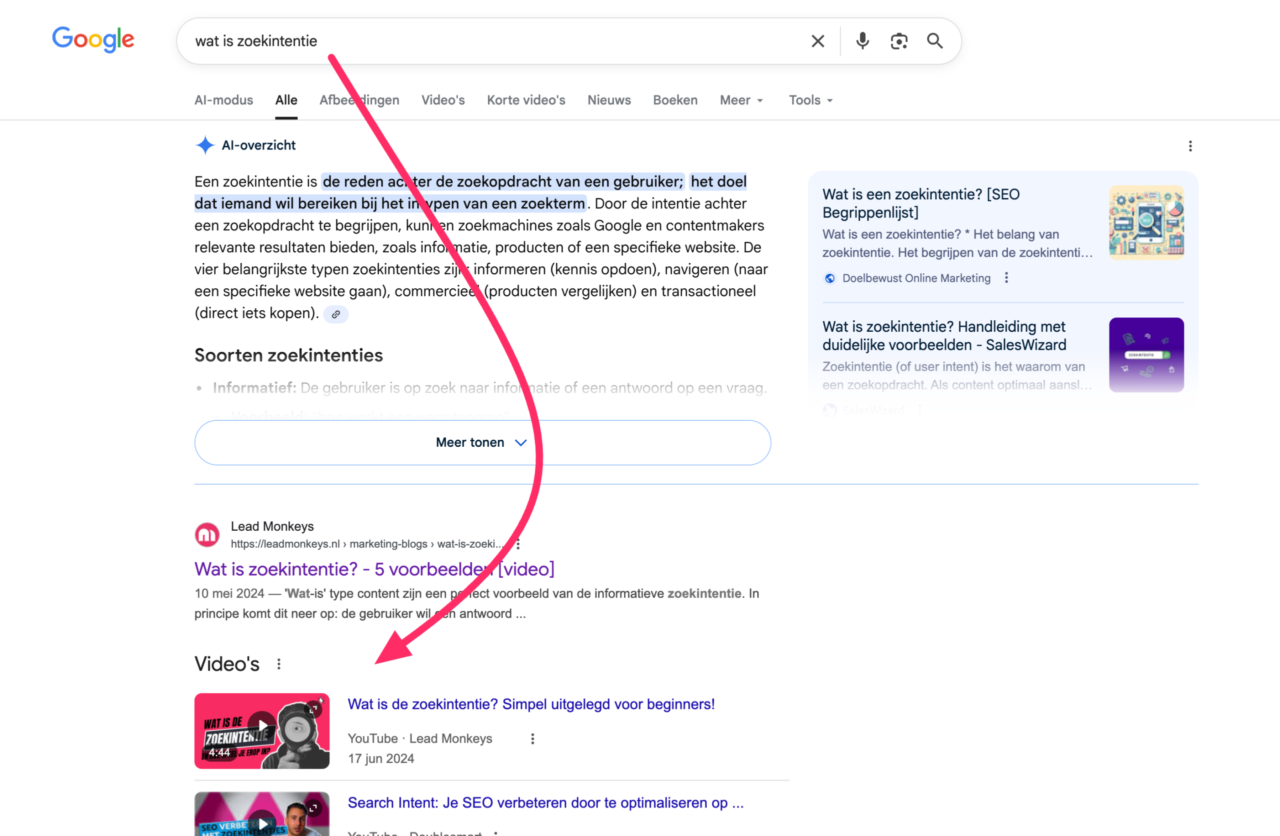Google zoekresultaten toont video's in Google vanuit social media door Social SEO op het zoekwoord 'wat is zoekintentie'